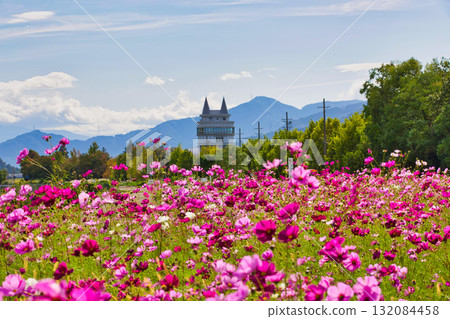 Autumn comes 132084458