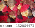 Fallen leaves 132084473