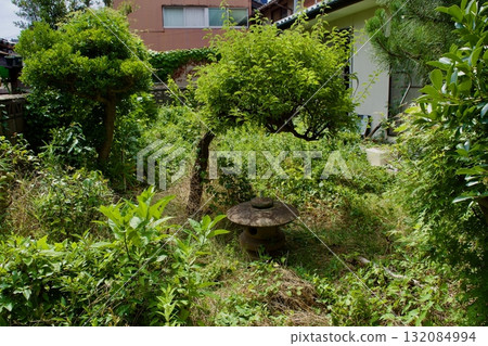 Abandoned garden of a vacant house in spring Abandoned garden of a vacant house in spring 132084994