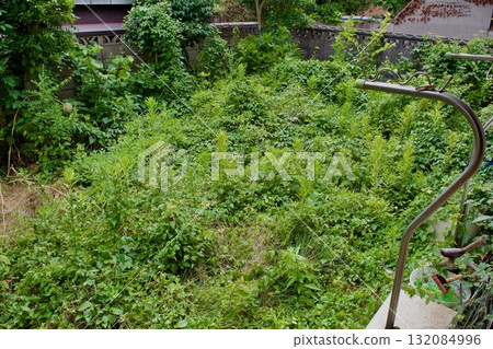 Abandoned garden of a vacant house in spring Abandoned garden of a vacant house in spring 132084996