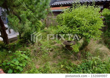 Abandoned garden of a vacant house in spring Abandoned garden of a vacant house in spring 132084997