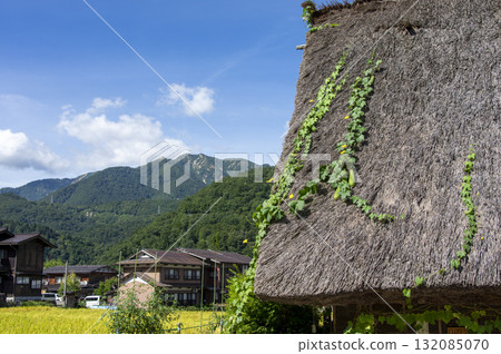 秋天的白川鄉,絲瓜絡裝飾著茅草屋頂 秋天的白川鄉,絲瓜絡裝飾著茅草屋頂 132085070