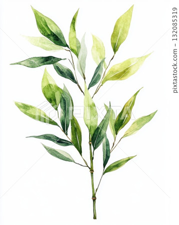 bamboo leaves isolated on white background 132085319