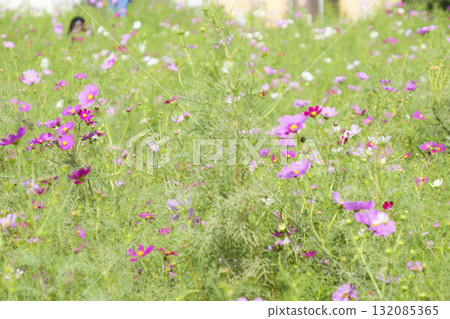 宇宙景觀（太陽山） 132085365