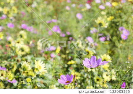 宇宙景觀（太陽山） 132085366