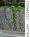 A concrete retaining wall covered with green moss and a curved asphalt road 132086021