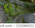 A concrete retaining wall covered with green moss and a curved asphalt road 132086022