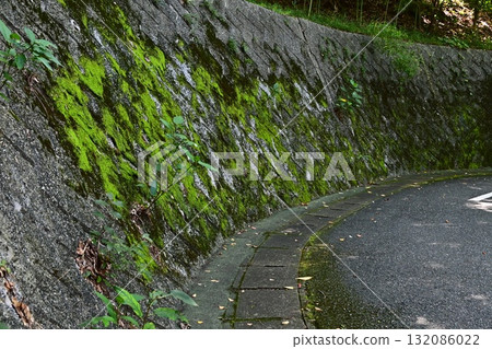 A concrete retaining wall covered with green moss and a curved asphalt road 132086022