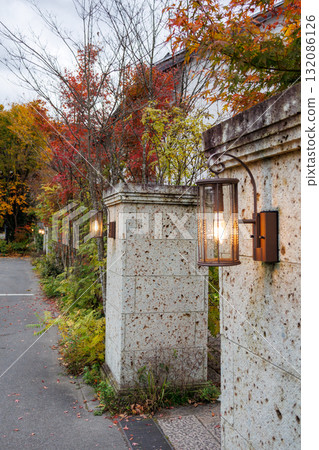 河口湖的花台，在秋季樹葉季節很受歡迎 132086126