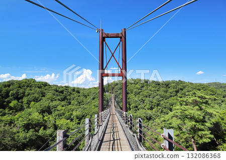Star Swing (suspension bridge) Star Swing (suspension bridge) 132086368