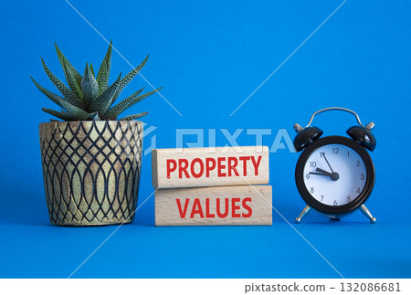 Property Values symbol. Wooden blocks with words Property Values. Beautiful blue background with alarm clock and succulent plant. Business and Property Values concept. Copy space. Property Values symbol. Wooden blocks with words Property Values. Beautiful blue background with alarm clock and succulent plant. Business and Property Values concept. Copy space. 132086681