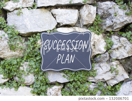 Succession Plan symbol. Stone wall with words Succession Plan. Beautiful stone background with plants. Business and Succession Plan concept. Copy space. Succession Plan symbol. Stone wall with words Succession Plan. Beautiful stone background with plants. Business and Succession Plan concept. Copy space. 132086701