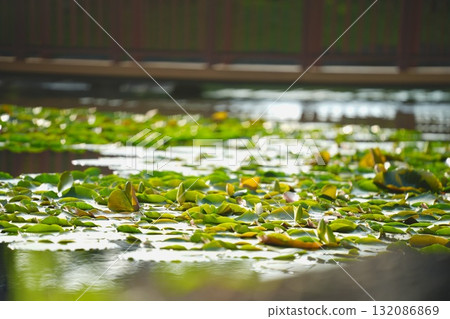 漂浮在水面上的時間 漂浮在水面上的時間 132086869