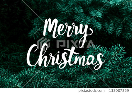 Christmas photo with handwritten Merry Christmas message 132087269