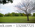  公園 132087725