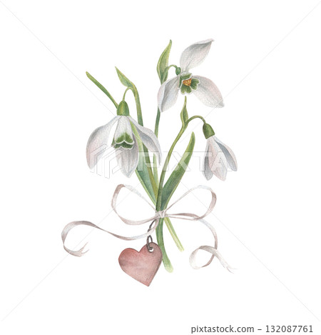 Bouquet of snowdrops flower with heart chain and bow. Watercolor illustration hand drawn and isolated on a white background. Perfect for decorating postcards, wedding invitations, tableware, textiles Bouquet of snowdrops flower with heart chain and bow. Watercolor illustration hand drawn and isolated on a white background. Perfect for decorating postcards, wedding invitations, tableware, textiles 132087761