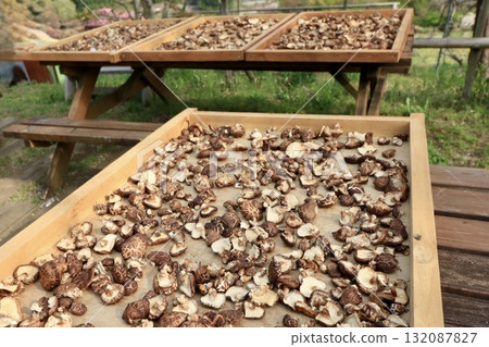 Sun-dried shiitake mushrooms Sun-dried shiitake mushrooms 132087827