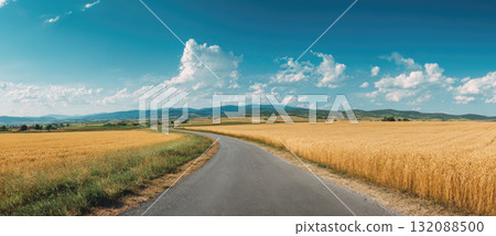 Panoramic view of a winding asphalt road cutting through vast golden wheat fields under a bright blue sky. This rural summer landscape symbolizes freedom, travel, and agriculture 132088500