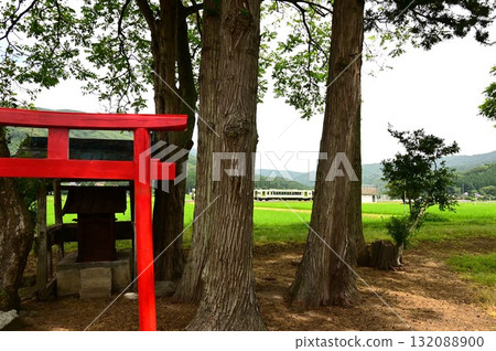 Tono in summer: Kamaishi Line and a small shrine 132088900