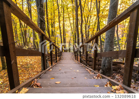 Autumn forest stairs, a wooden staircase descends through golden leaves in a tranquil natural park. Autumn forest stairs, a wooden staircase descends through golden leaves in a tranquil natural park. 132089618