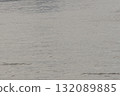 海面 132089885