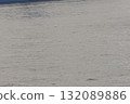 海面 132089886
