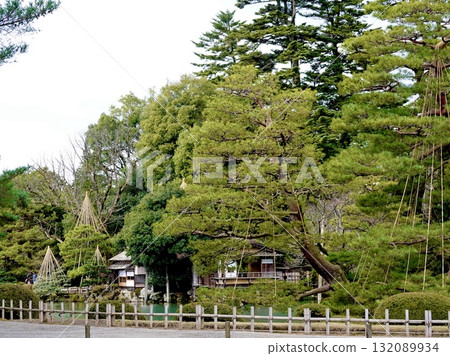 Kenrokuen Garden: A view of Japanese houses and trees seen across a meandering stream, Kanazawa City, Ishikawa Prefecture 132089934