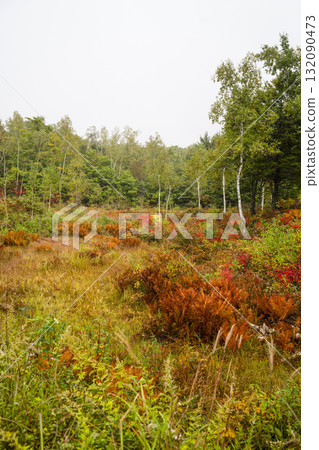 Norikura Plateau in autumn with light rain 132090473