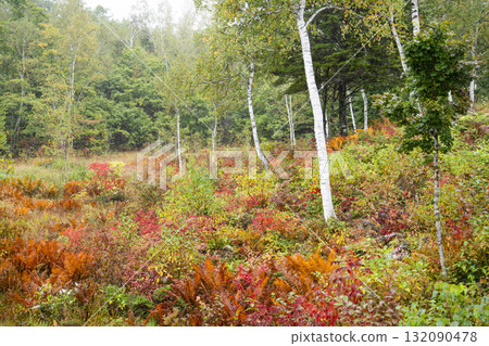 秋季的乘鞍高原，細雨綿綿 132090478