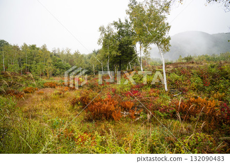 秋季的乘鞍高原，細雨綿綿 132090483
