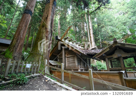 National Treasure Nishina Shinmei Shrine and Giant Cedar Trees, Natural Monument, Nagano Prefecture 132091689
