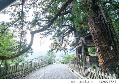 仁科神明神社的三棵杉樹,長野縣的天然紀念物 仁科神明神社的三棵杉樹,長野縣的天然紀念物 132091721