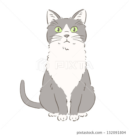 一隻坐著的三色貓 132091804