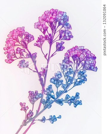 Colorful spring wildflowers illustration, bright floral pattern, botanical artwork, white background 132091864