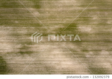 farm field, agriculture, view from above 132092379