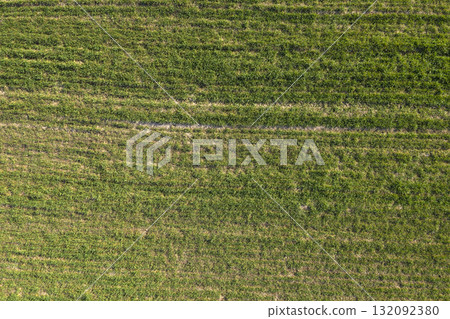 farm field, agriculture, view from above 132092380