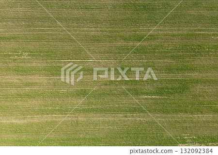 farm field, agriculture, view from above farm field, agriculture, view from above 132092384