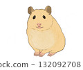 Syrian hamster sitting 132092708