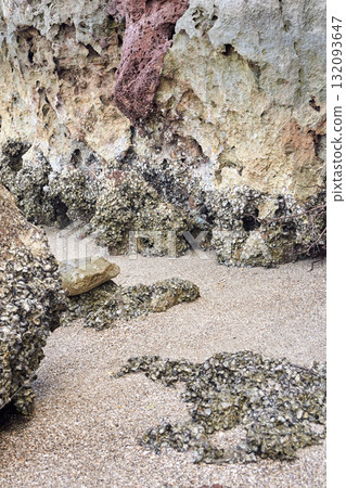 Rocky shoreline with shell-covered rocks and sandy beach Rocky shoreline with shell-covered rocks and sandy beach 132093647