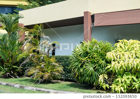 Tropical garden with lush greenery and modern building exterior on sunny day Tropical garden with lush greenery and modern building exterior on sunny day 132093650