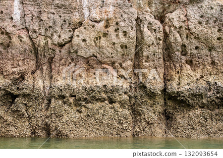 Eroded limestone cliff with fossils and algae near waterline reflecting Eroded limestone cliff with fossils and algae near waterline reflecting 132093654