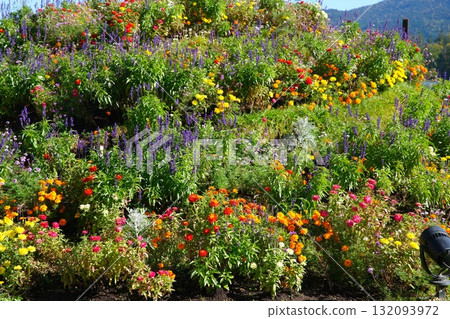 Akan Iomapu Garden Akan Iomapu Garden 132093972