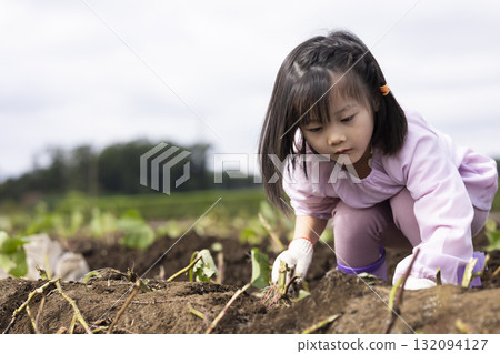 收穫地瓜的可愛女孩 132094127