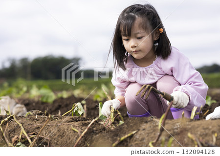 收穫地瓜的可愛女孩 132094128