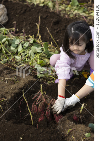 Cute girl harvesting sweet potatoes Cute girl harvesting sweet potatoes 132094130