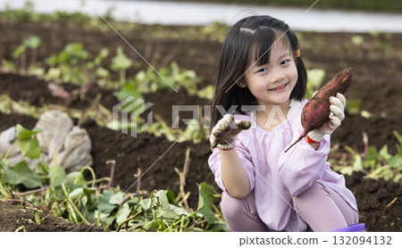 收穫地瓜的可愛女孩 132094132
