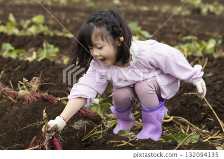 Cute girl harvesting sweet potatoes 132094135