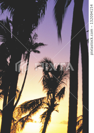 Sunset view and palm tree silhouette Sunset view and palm tree silhouette 132094154