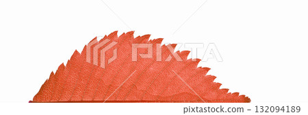 Close-up of vibrant orange serrated leaf against white background showcasing 132094189