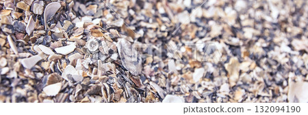 Close-up view of colorful seashells and pebbles on a beach shore Close-up view of colorful seashells and pebbles on a beach shore 132094190